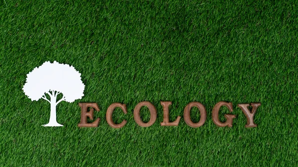 Деревянный Алфавит Организованный Рамках Кампании Экологической Осведомленности Дизайном Иконы Eco — стоковое фото