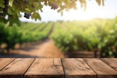 Üzüm bağının bulanık arkaplanlı boş ahşap masa. Coşkulu resim.