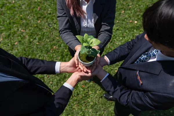 Business People Hold Plant Sprout Together Unity Teamwork Concept Eco — Stock Photo, Image