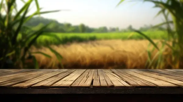 サトウキビのプランテーションの背景をぼかす空の木製の茶色のテーブルの上 優れた画像 — ストック写真
