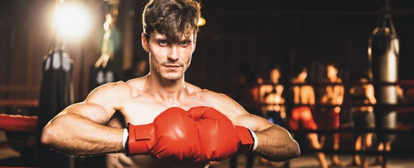 Boxkämpfer Posiert Kaukasischer Boxer Legt Hand Oder Faust Handschuhen Vor — Stockfoto