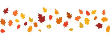 Sonbahar yapraklarının düz tasarımı, sonbahar renkli yapraklar sonbahar sezonunun reklam pankartları için izole edilmiş, vektör illüstrasyonu .