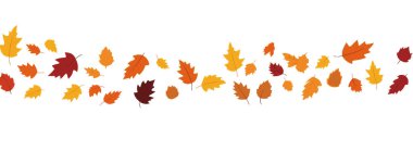 Sonbahar yapraklarının düz tasarımı, sonbahar renkli yapraklar sonbahar sezonunun reklam pankartları için izole edilmiş, vektör illüstrasyonu .