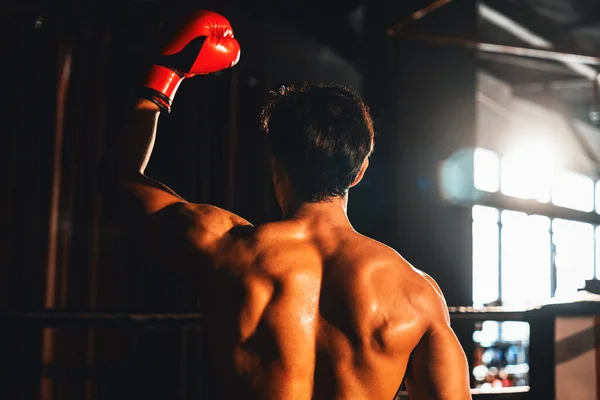 对胜利的穆艾泰拳手的回顾击中了胜利的姿态 在他来之不易的胜利的荣耀中 自豪地展示了他强健的身体 Impetus — 图库照片