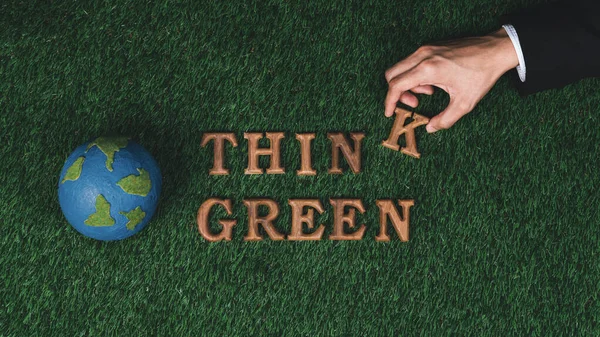 在生态意识运动中 手工安排木制字母表 配合Eco绿色草本植物图标设计 促进环保 促进可持续的未来 — 图库照片
