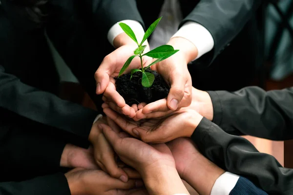 Eco Friendly Investment Reforestation Group Business People Holding Plant Together — Stock Photo, Image