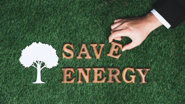 バイオフィリアグリーン草の背景に関するEco啓発キャンペーンで木製アルファベットを手配する 環境に優しいエネルギーと持続可能な地球のためのCo2排出量を削減するための限られた電力消費を促進する Gyre — ストック写真
