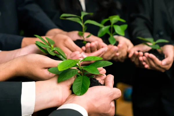 Miljövänliga Investeringar Återbeskogning Grupp Affärsmän Som Håller Samman Anläggningar Kontoret — Stockfoto