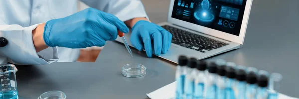 과학자들은 실험실에서 실험을 실시하여 피펫으로부터 한양의 액체를 백신제나 항생제 개발을 — 스톡 사진