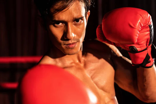 Muay Thai Boxeador Soco Seu Punho Frente Câmera Pronto Para — Fotografia de Stock