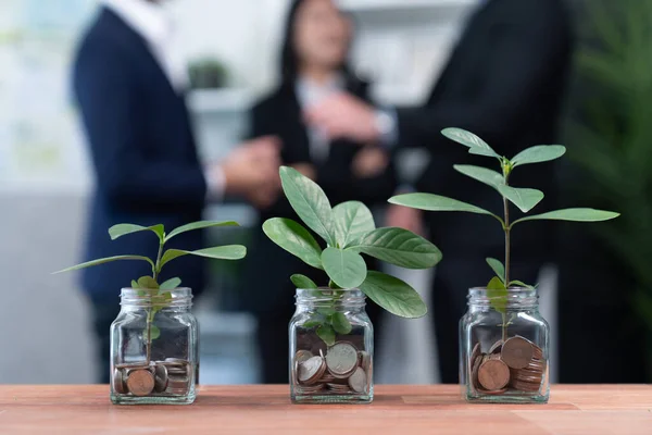 Cam Kavanozdaki Para Tasarrufu Ile Gösterilen Organik Para Büyümesi Yatırım — Stok fotoğraf