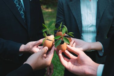 Bir grup iş adamı yumurta kabuğunu gübre tenceresine dönüştürüp, kurumsal yeniden ağaçlandırma projesinin bir parçası olarak filizlenme ve büyümeye olan bağlılığı sembolize ediyorlar. Döngü