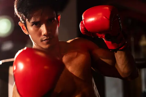 Muay Thai Bokser Punch Zijn Vuist Voorkant Van Camera Klaar — Stockfoto