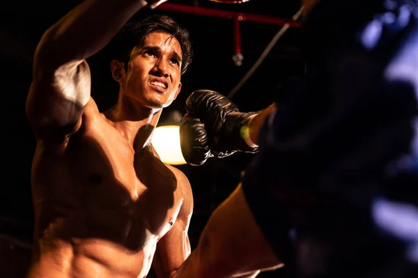Asian Caucasian Muay Thai Boxer Unleash Power Fierce Boxing Match — Stock Photo, Image