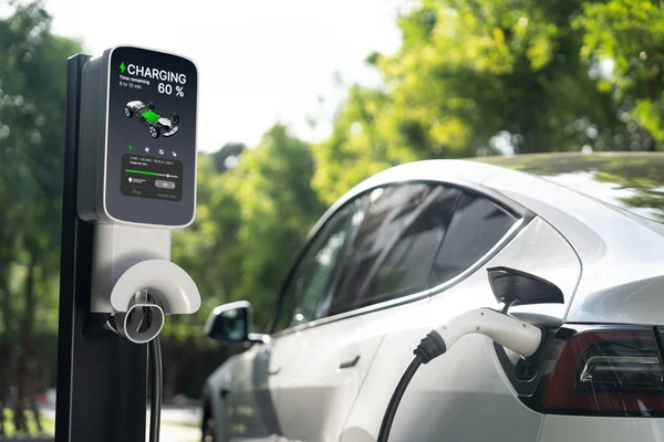 Ładowanie Samochodów Elektrycznych Zielonym Zrównoważonym Ogrodzie Miejskim Lecie Zrównoważony Rozwój — Zdjęcie stockowe