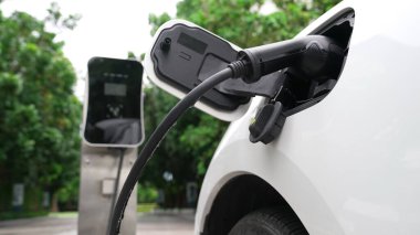 Elektrikli araba parkı ve şarj istasyonunun yanında şarj edilen enerji konseptinin sürdürülebilirliği. Çevresel koruma için yenilenebilir enerji tarafından kullanılan elektrikli araç.