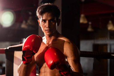 Muay Thai boksörü arka planda boks ekipmanıyla spor salonunda poz vermek için kameranın önünde yumruğunu yumrukladı. Kararlı gözler ve meydan okumaya hazır olun. Impetus