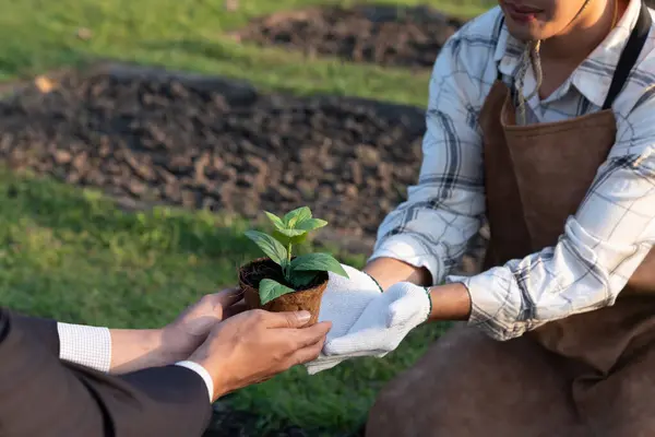 stock image Eco-business company empower farmer with eco-friendly farming practice and clean agricultural technology. Cultivate sustainable future nurturing plants to grow and thrive. Gyre