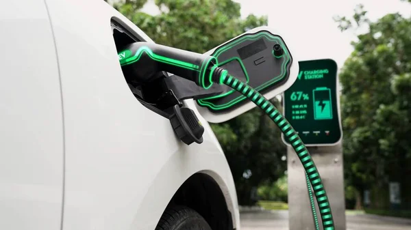 充電ステーションに接続された電気自動車は エコグリーンパークや緑の葉でEv充電ケーブルでバッテリーを充電します 将来の革新的なEv車とエネルギー持続可能性 — ストック写真