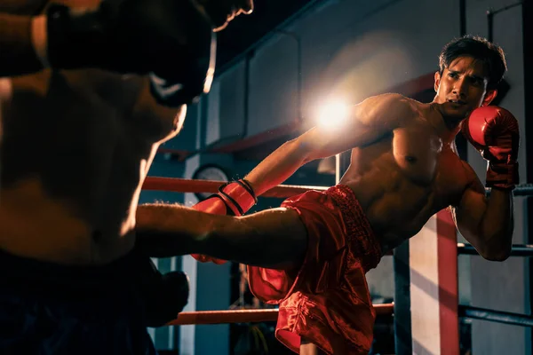 Asian Caucasian Muay Thai Boxer Unleash Kick Attack Fierce Boxing — Stock Photo, Image