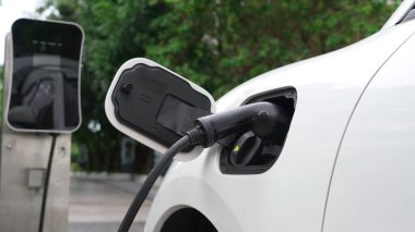 Elektrikli araba parkı ve şarj istasyonunun yanında şarj edilen enerji konseptinin sürdürülebilirliği. Çevresel koruma için yenilenebilir enerji tarafından kullanılan elektrikli araç.