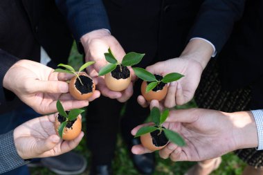 Bir grup iş adamı yumurta kabuğunu gübre tenceresine dönüştürüp, kurumsal yeniden ağaçlandırma projesinin bir parçası olarak filizlenme ve büyümeye olan bağlılığı sembolize ediyorlar. Döngü