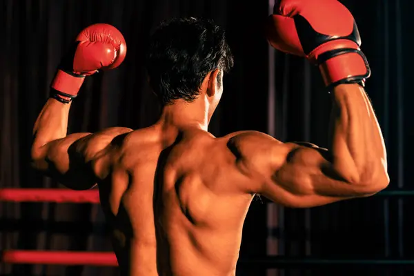 对胜利的穆艾泰拳手的回顾击中了胜利的姿态 在他来之不易的胜利的荣耀中 自豪地展示了他强健的身体 Impetus — 图库照片