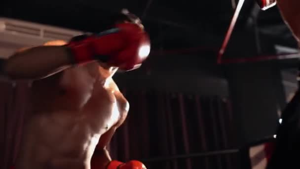 Asiatiska Och Kaukasiska Muay Thai Boxare Släppa Lös Punch Hård — Stockvideo