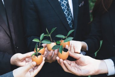 Bir grup iş adamı yumurta kabuğunu gübre tenceresine dönüştürüp, kurumsal yeniden ağaçlandırma projesinin bir parçası olarak filizlenme ve büyümeye olan bağlılığı sembolize ediyorlar. Döngü