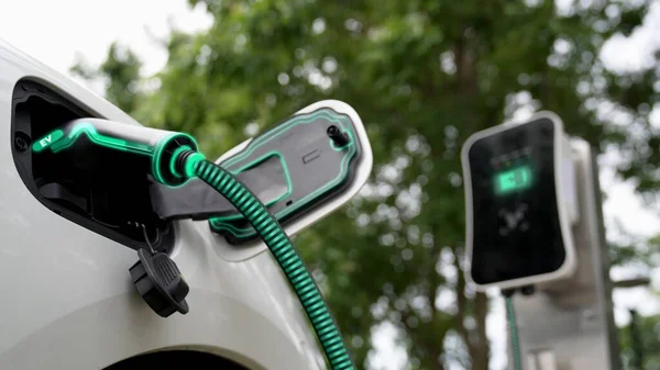Elektrikli Araba Çevre Yeşil Parkındaki Elektrik Kablosu Yeşillik Yeşili Yeşillik — Stok fotoğraf