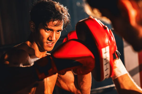 Asian and Caucasian Muay Thai boxer unleash punch in fierce boxing training session, delivering punching strike to sparring trainer, showcasing Muay Thai boxing technique and skill. Impetus