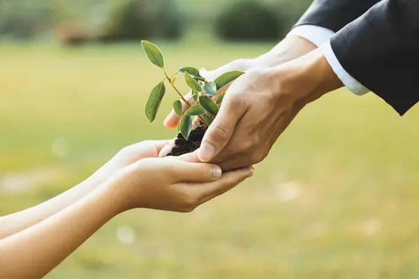 Businessman handing plant or sprout to young boy as eco company committed to corporate social responsible, reduce CO2 emission and embrace ESG principle for sustainable future.Gyre