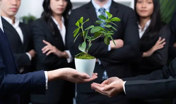 Investimentos Ecológicos Reflorestação Por Grupos Empresários Que Mantêm Fábrica Unida — Fotografia de Stock