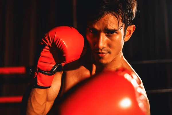 Boxeador Muay Thai Golpea Puño Frente Cámara Posición Lista Para —  Fotos de Stock