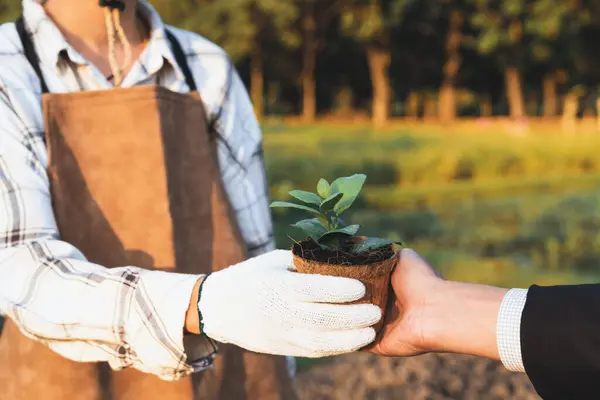 Eco-business company empower farmer with eco-friendly farming practice and clean agricultural technology. Cultivate sustainable future nurturing plants to grow and thrive. Gyre