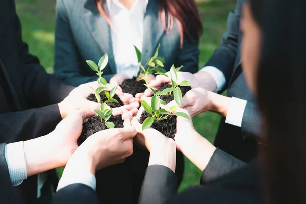 Business People Hold Plant Together Unity Teamwork Concept Eco Company — Stock Photo, Image