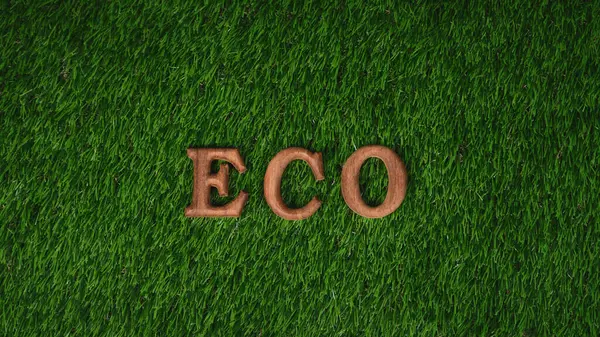 在Eco的环保意识活动设计中安排了木制字母表 以促进环保 创造更环保和可持续的未来 — 图库照片