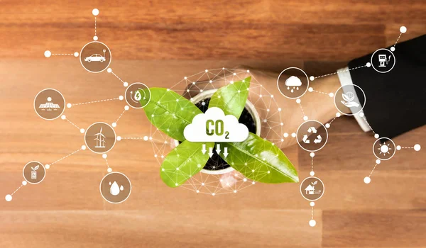 带生态数字设计图标的顶视图手持式绿色植物象征着环保型企业 Esg致力于通过使用清洁和可持续的能源来减少碳排放 可靠性 — 图库照片