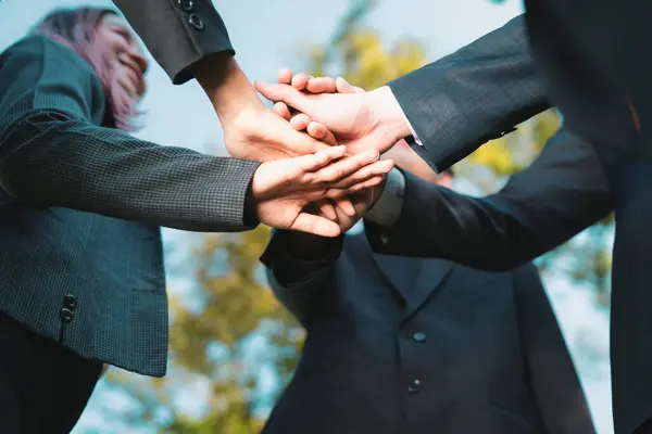 Eco Business People Join Hand Together Teamwork Unity Outdoor Business — Stock Photo, Image