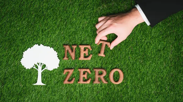 Environmental awareness campaign, hand arrange message in Net Zero on biophilic green grass background. Environment friendly with reduce CO2 emission concept for sustainable and green future. Gyre