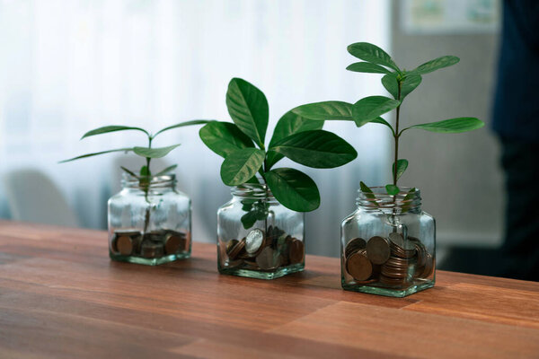 Organic money growth investment concept shown by money savings in glass jar. Financial investments rooted and cultivating wealth in harmony with nature. Quaint