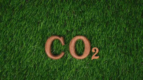 将二氧化碳中的木制字母表文字安排在生物亲绿草地设计背景上 作为生态符号 以鼓励减少碳信用运动和环境意识的信息 — 图库照片