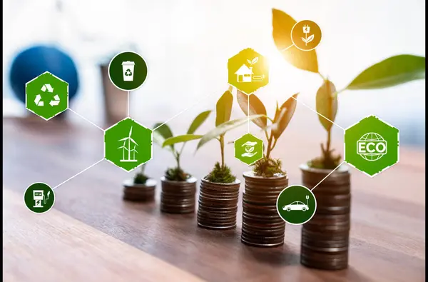 Stack of money and coin growing with tree seedling planted on top, symbolize green environment business investment and economic financial sustainable growth on environmental sustainability. Reliance