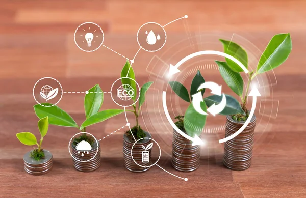 Wachsende Münzen Oder Geldstapel Mit Recyclingsymbol Esg Unternehmensinvestitionen Mit Nachhaltigem — Stockfoto