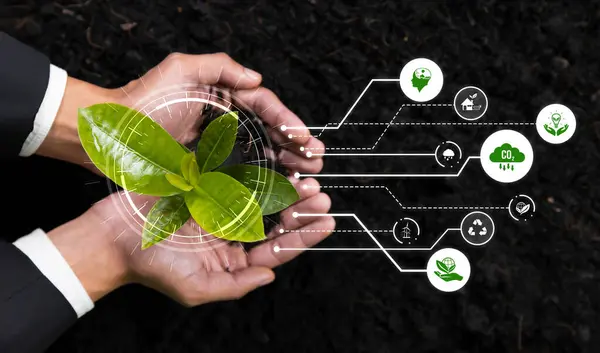 Business Investment Reforestation Businessman Growing Young Seedling Plant Soil Esg — Stock Photo, Image