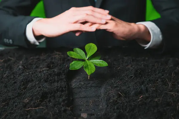 Podnikatelé Pěstují Pěstují Rostliny Hnojené Půdě Koncepce Ekologické Společnosti Která — Stock fotografie