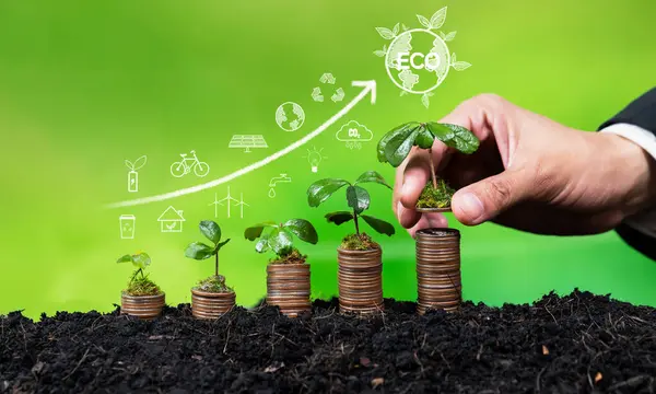 Pilha Dinheiro Crescendo Com Empresário Investindo Tecnologia Ecológica Simboliza Investimento — Fotografia de Stock