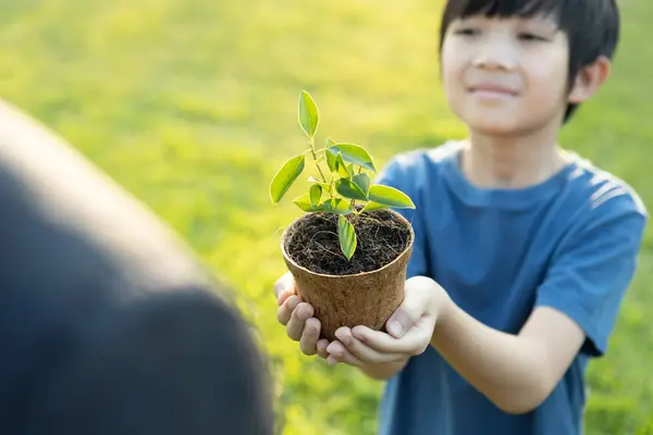 Promoting Eco Awareness Reforestation Long Term Environmental Sustainability Asian Boy — Stock Photo, Image