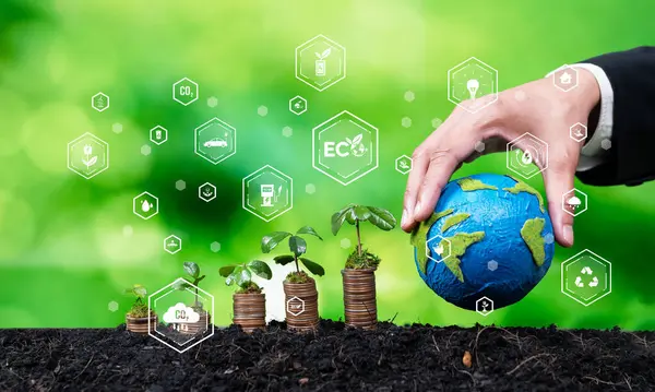 친환경 기술에 투자하는 사업가와 성장하는 스택은 친환경 비즈니스 투자와 가능성에 — 스톡 사진