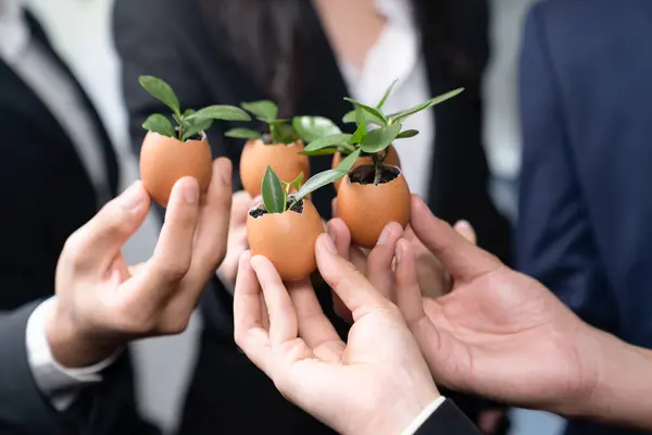 Eco Friendly Investment Reforestation Group Business People Holding Sprout Egg — Stock Photo, Image